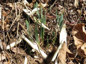 IMG_2109_R