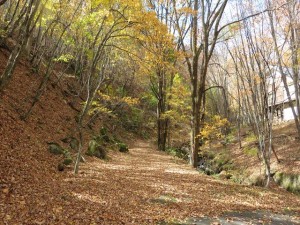 IMG_2879_R
