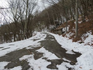 高区　水源地付近道路